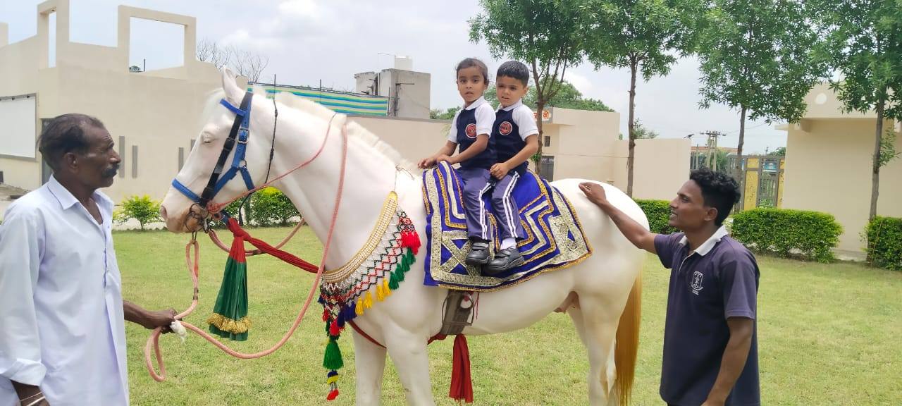 528071278_1287453226072261_7935154186746951887_n