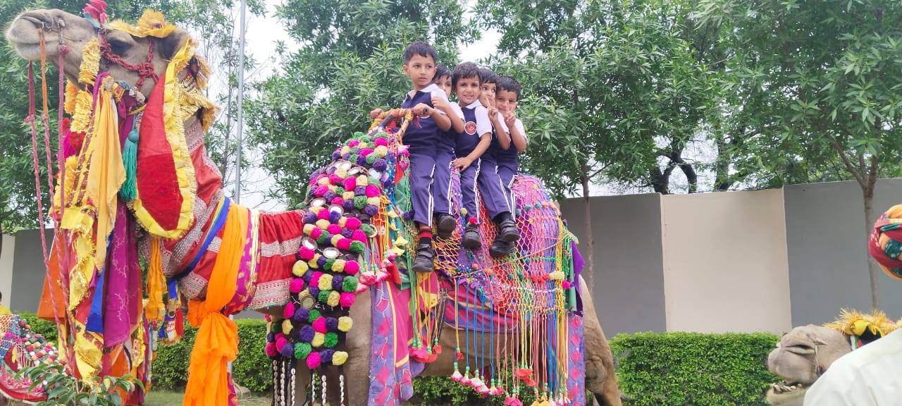 528742622_1287453046072279_8548334111160085310_n