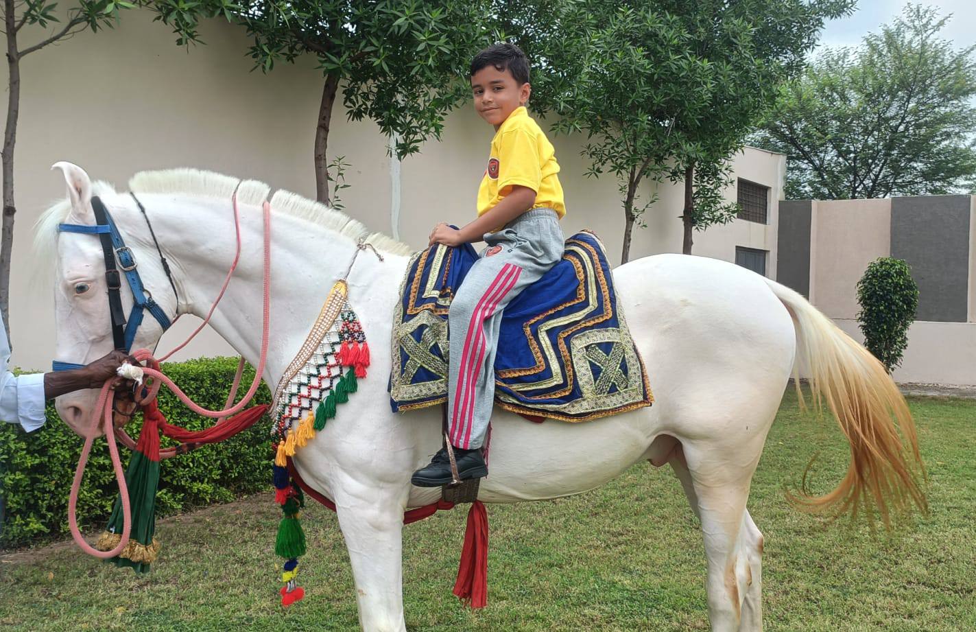 529262782_1287452929405624_6893411299323353878_n